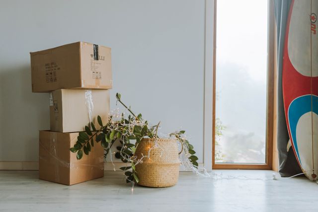 A cozy indoor scene featuring cardboard boxes, a plant, and a surfboard near a window.